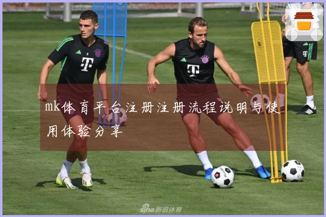 mk体育平台注册注册流程说明与使用体验分享