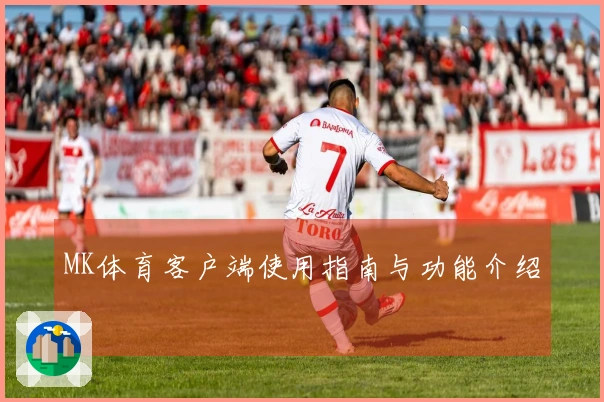 MK体育客户端使用指南与功能介绍