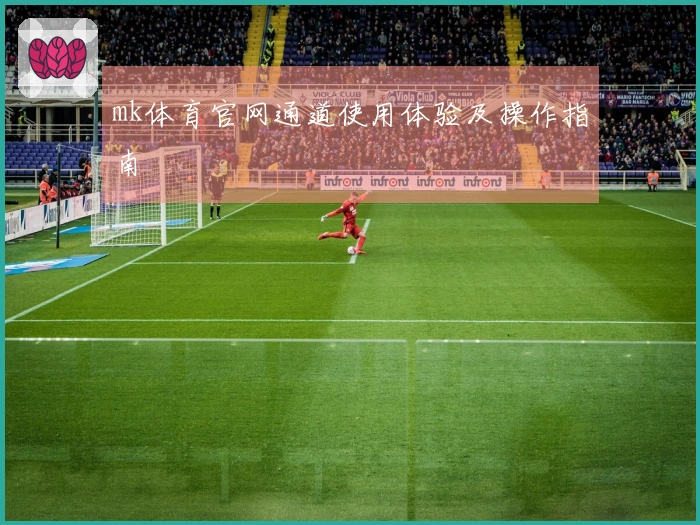 mk体育官网通道使用体验及操作指南